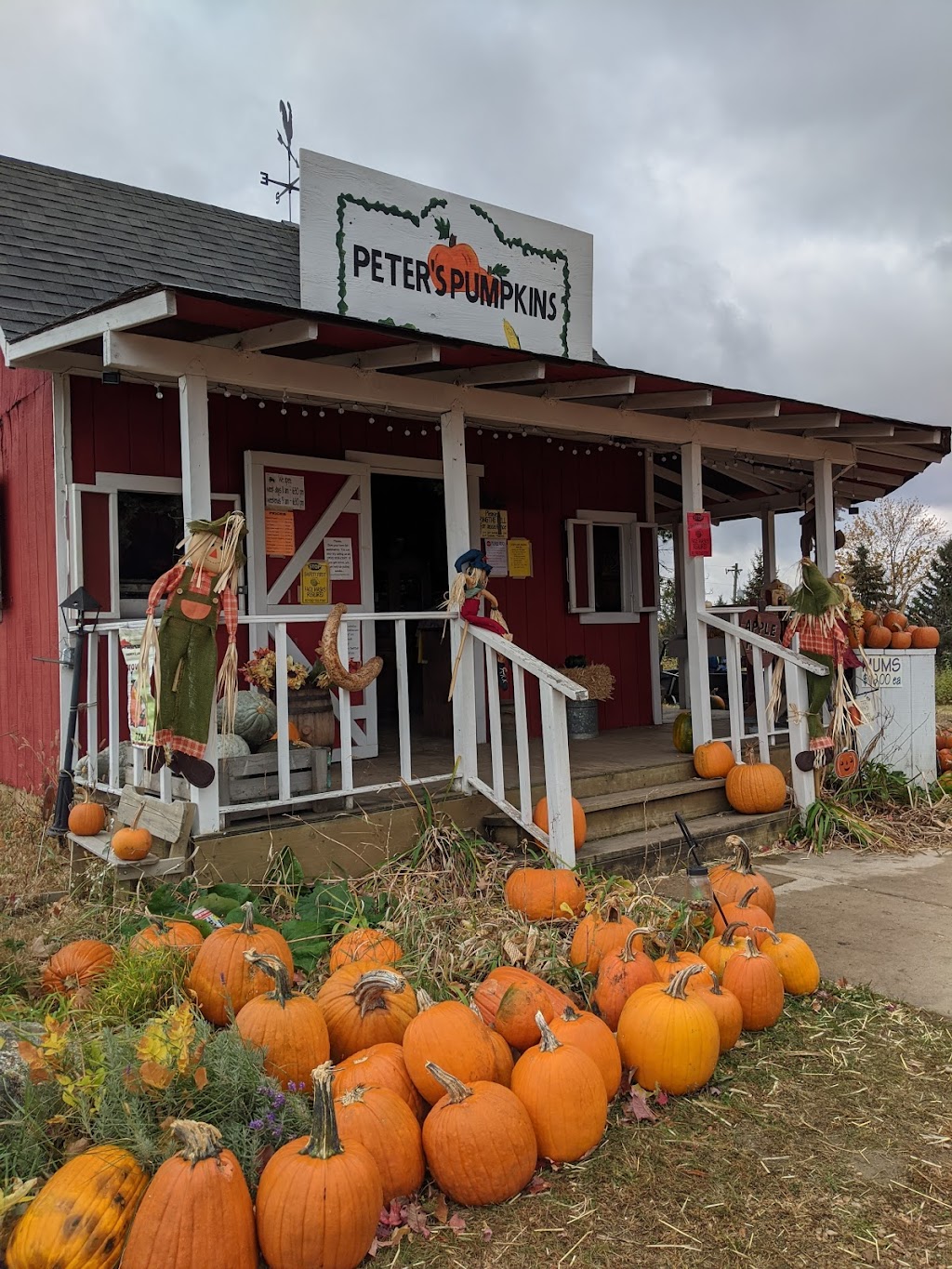 Peters Pumpkins & Carmens Corn | 12860 Old Brick Yard Rd, Shakopee, MN 55379, USA | Phone: (952) 906-0247