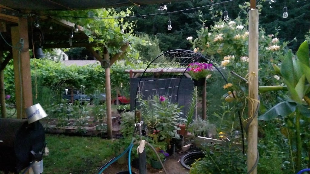 Redland Blueberry Farm | 18900 S Pear Rd, Oregon City, OR 97045, USA | Phone: (503) 631-4141