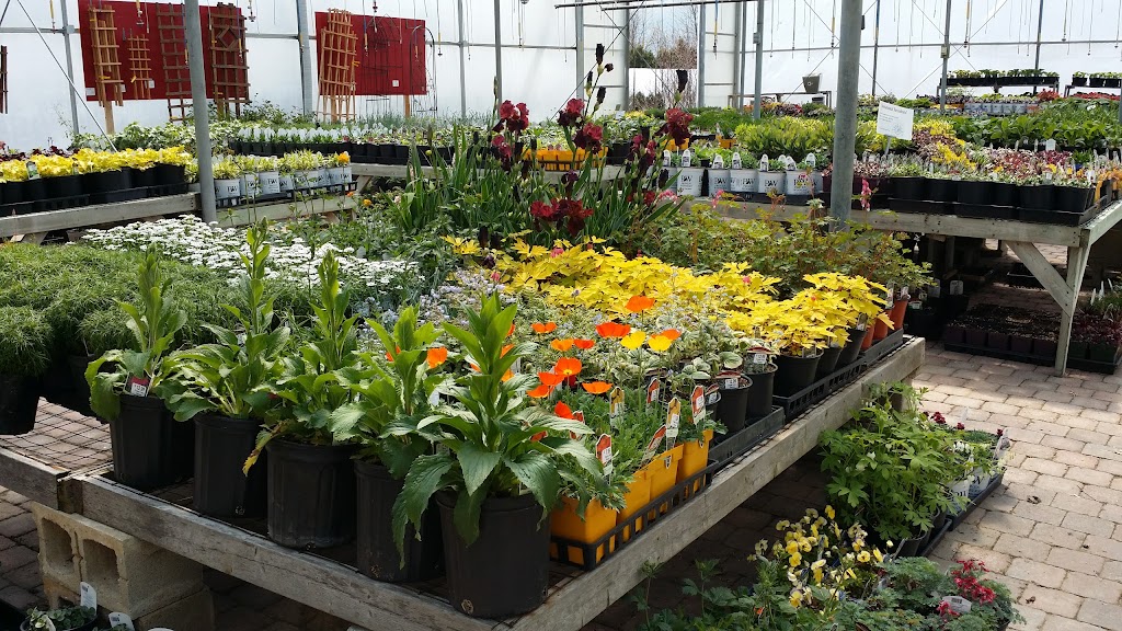 Peanut Centre Nursery | 702 Mersea Rd 6, Leamington, ON N8H 3V8, Canada | Phone: (519) 326-7450