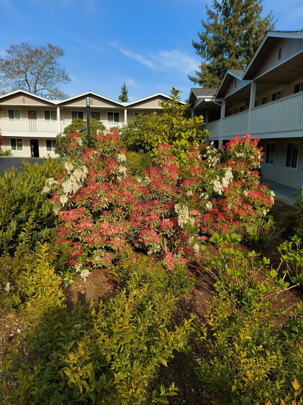 Somerset Gardens Apartments | 14700 NE 29th Pl, Bellevue, WA 98007, USA | Phone: (425) 883-2222