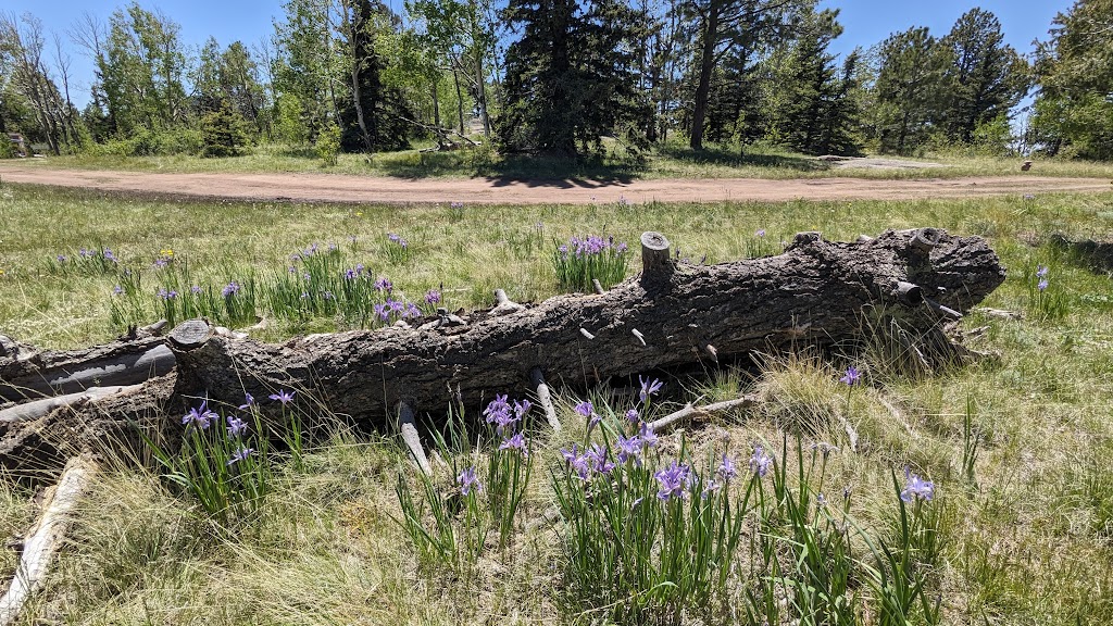 Alta Vista Disc Golf Ranch | 2145 Co Rd 86, Victor, CO 80860, USA | Phone: (719) 360-5199