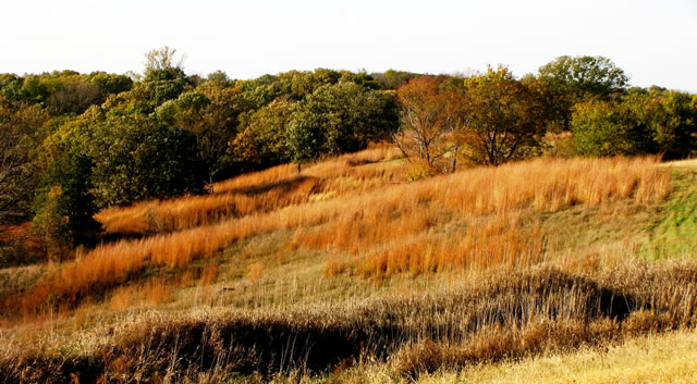 Blackburn State Park | 1291 Cemetery Rd, Thurman, IA 51654, USA | Phone: (712) 382-2786