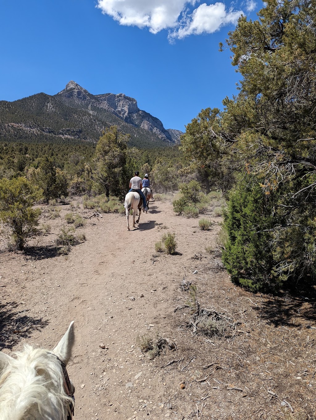 Silver State Horseback Riding Tour | 6628 Sky Pointe Dr, Las Vegas, NV 89131, USA | Phone: (702) 714-1477