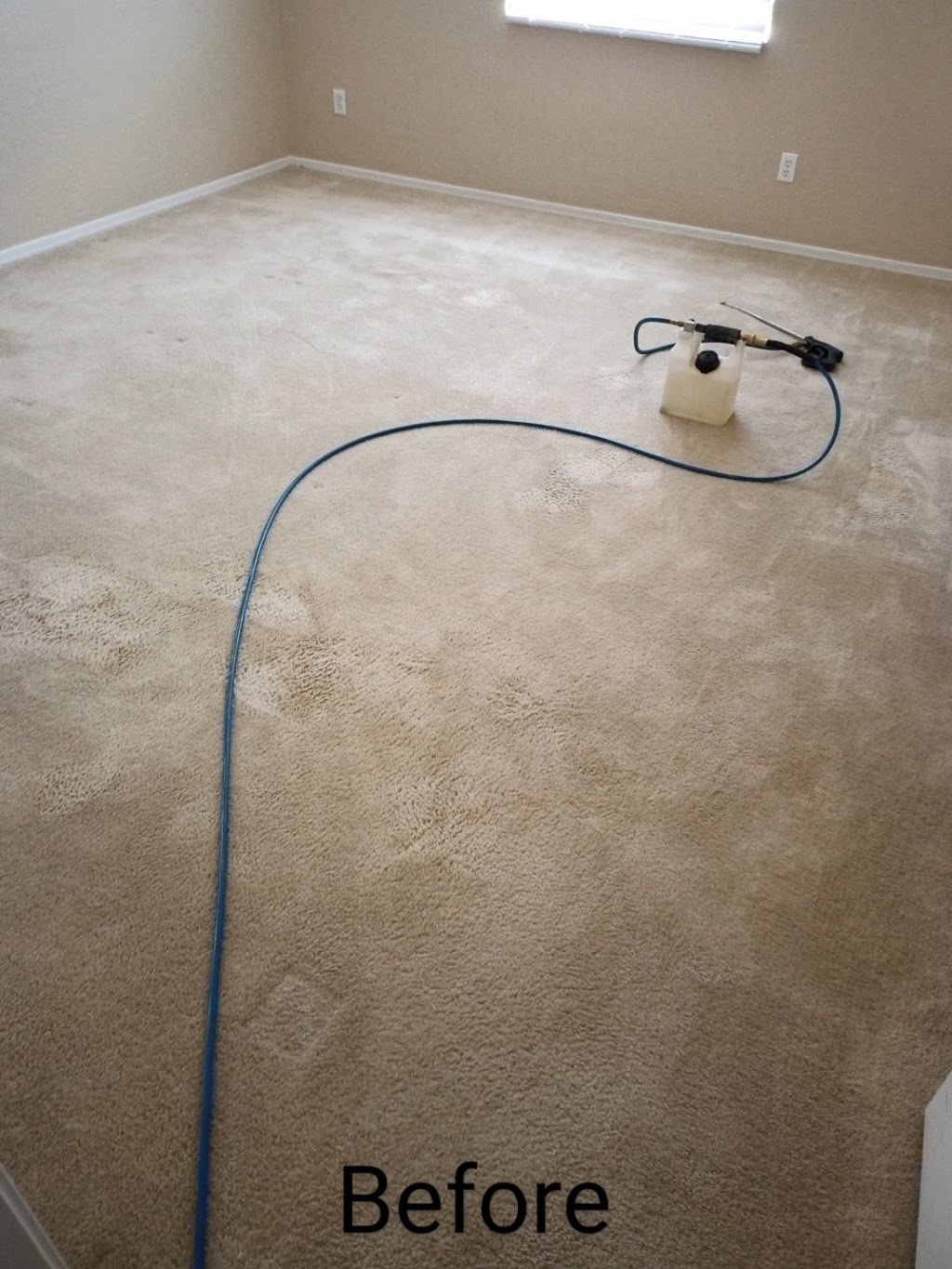 On point carpet cleaning | 30648 N Royal Oak Way, San Tan Valley, AZ 85143, USA | Phone: (602) 727-2787