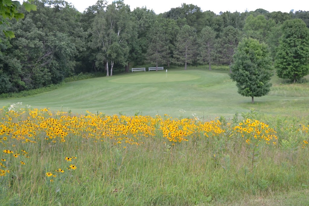 Five Flags Golf Course | 1855 145th St, Balsam Lake, WI 54810, USA | Phone: (715) 825-2141