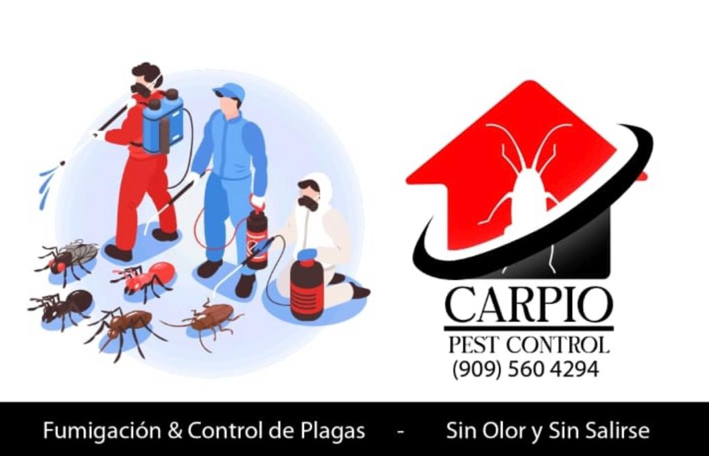 Fumigaciones Carpio | 6511 Myrtle Ct, Rancho Cucamonga, CA 91739, USA | Phone: (909) 560-4294