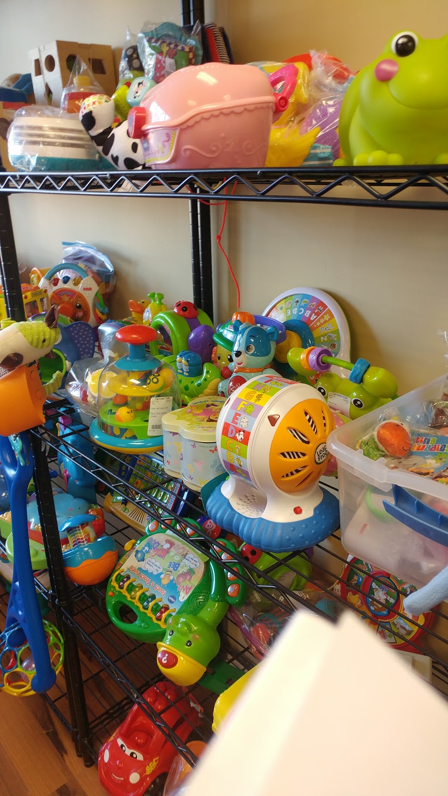 Carousel Kids | 16731 Fishhawk Blvd, Lithia, FL 33547, USA | Phone: (813) 571-8181