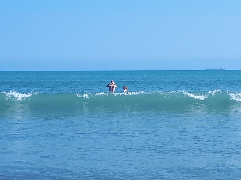 Waikanae Surf Life Saving Club | 280E Grey Street, Awapuni, Gisborne 4010, New Zealand | Phone: 06 867 7537