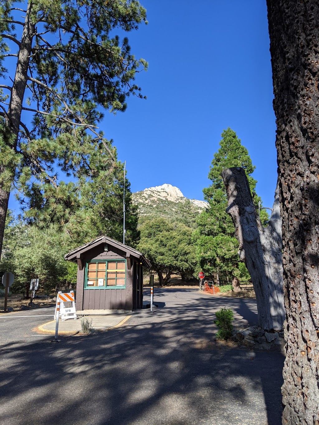 Cuyamaca Peak Trailhead | 12551 CA-79, Descanso, CA 91916, USA | Phone: (760) 765-3020