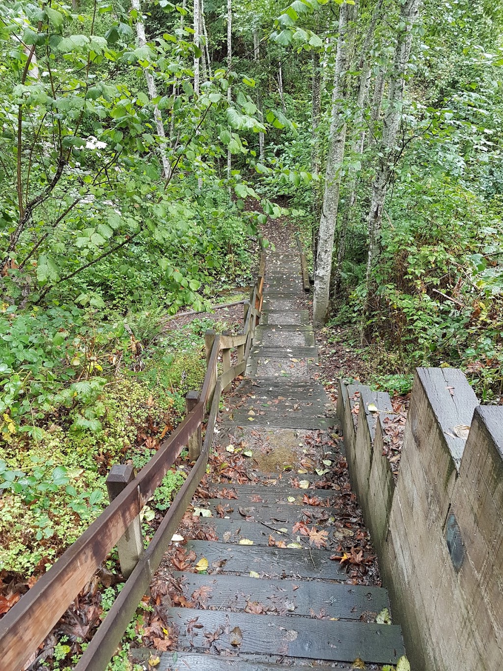 Richards Valley Loop Trail | 1905 134th Pl SE, Bellevue, WA 98005, USA | Phone: (425) 452-6885