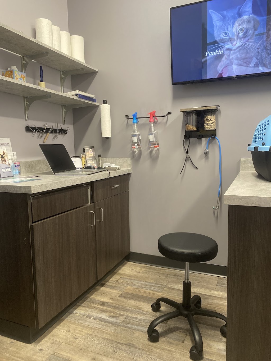 Animal House Veterinary Hospital | 4202 Jeffco Blvd, Arnold, MO 63010, USA | Phone: (636) 464-1038