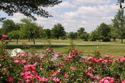 Shady Grove Golf Course and Restaurant | 15733 US-224, Findlay, OH 45840, USA | Phone: (419) 422-7494