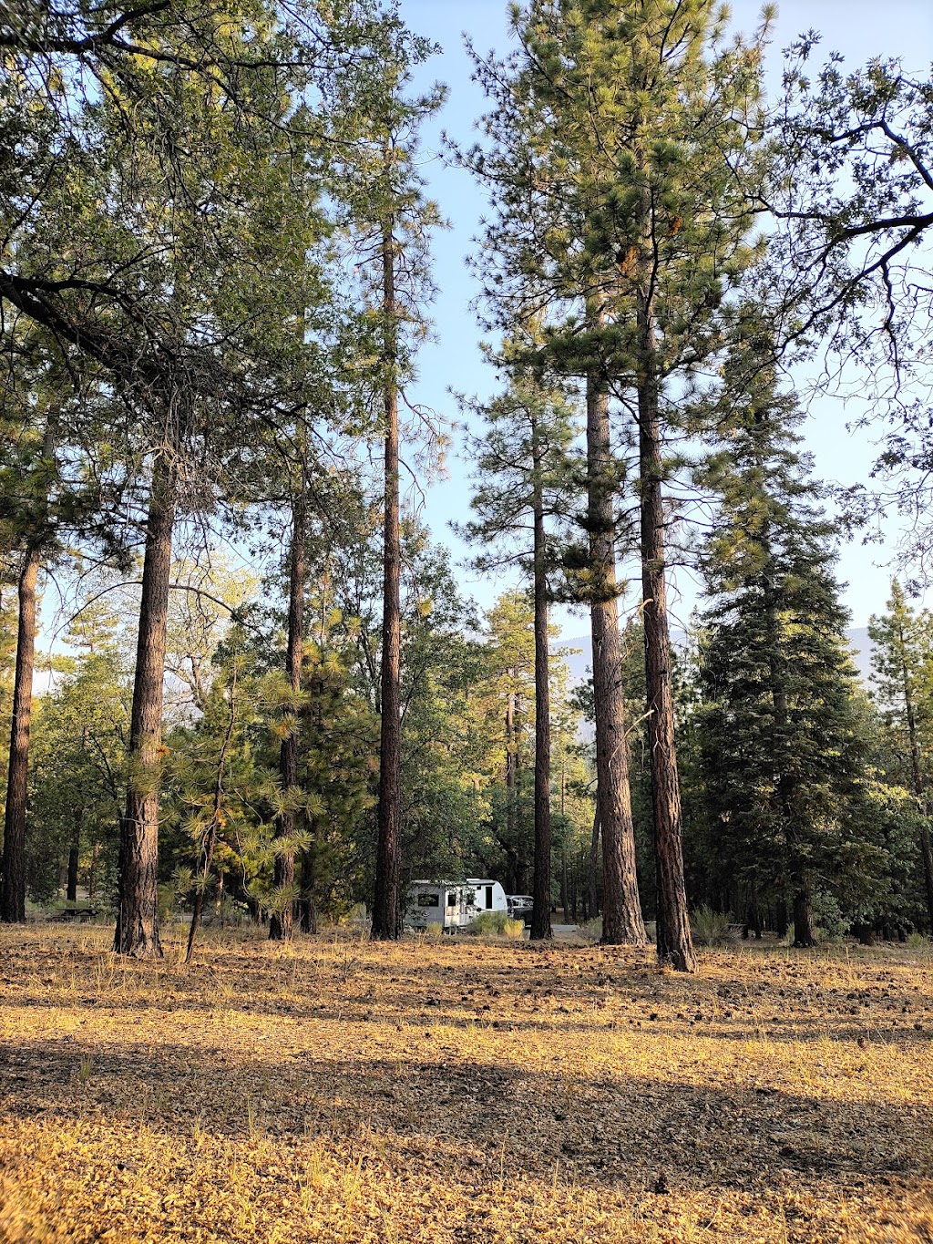 San Gorgonio Family Campground | 43064 CA-38, Angelus Oaks, CA 92305, USA | Phone: (877) 444-6777