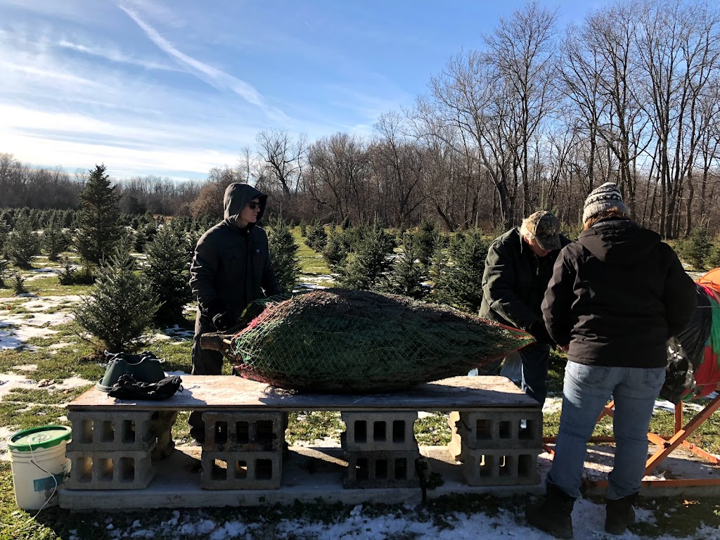 Rockdale Tree Farm | 76 Stone Mill Rd, Hudson, NY 12534, USA | Phone: (518) 851-7053