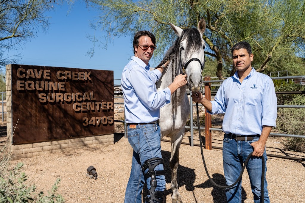 Cave Creek Equine Sports Medicine & Surgery | 34705 N 14th St, Phoenix, AZ 85086, USA | Phone: (623) 581-5508
