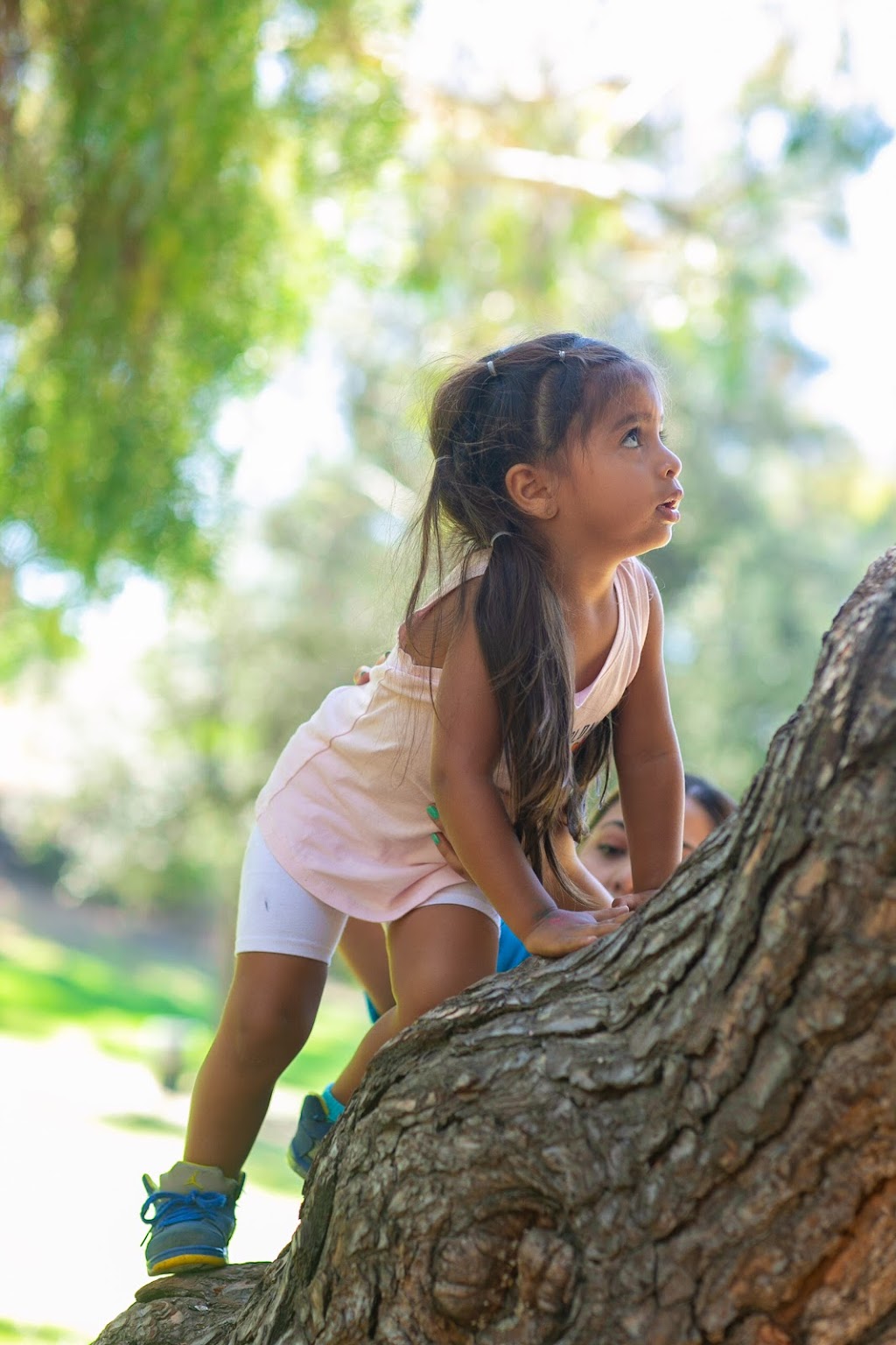 Little Macacos Forest School | Elysian Park, Los Angeles, CA 90012, USA | Phone: (323) 558-2553