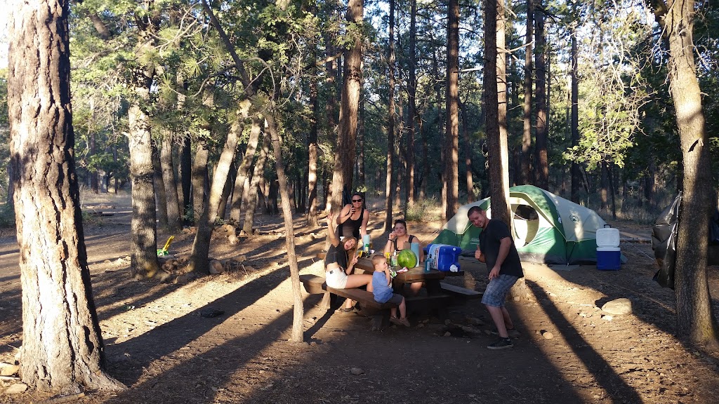 Oso Group Campground | 43207 CA-38, Angelus Oaks, CA 92305, USA | Phone: (877) 444-6777