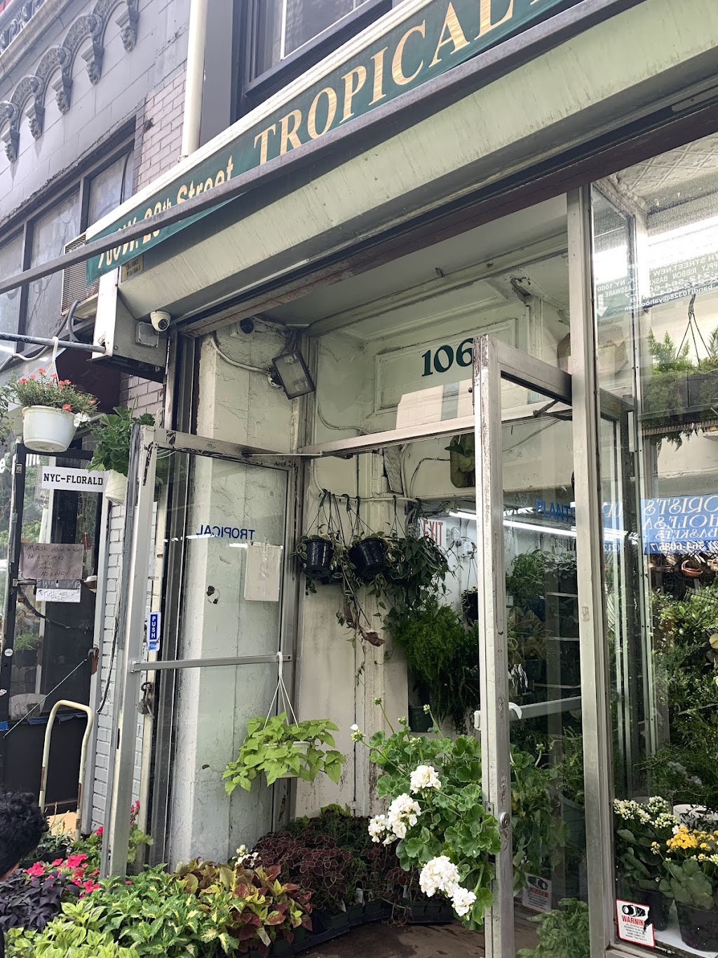 Tropical Plants And Orchids Inc | 106 W 28th St, New York, NY 10001, USA | Phone: (212) 255-7883