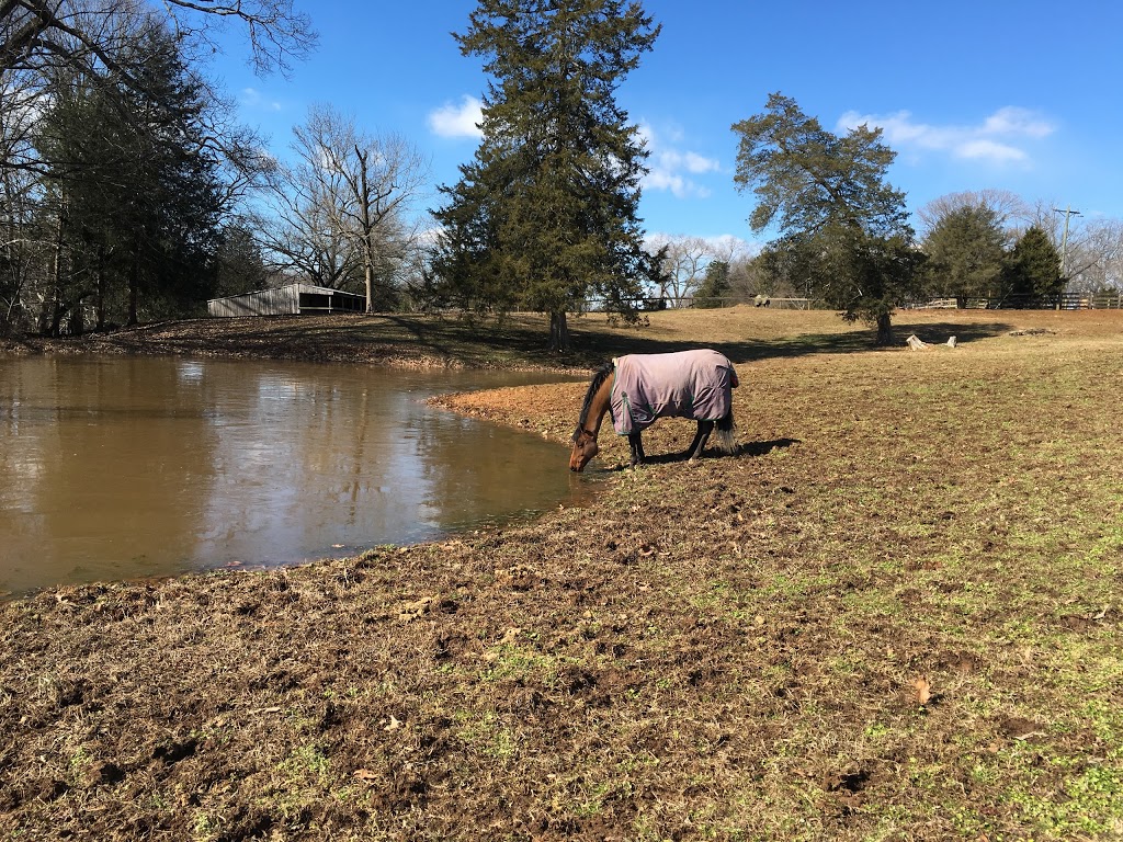 Level Green Riding School | 3350 John Tree Hill Rd, Powhatan, VA 23139, USA | Phone: (804) 794-8463