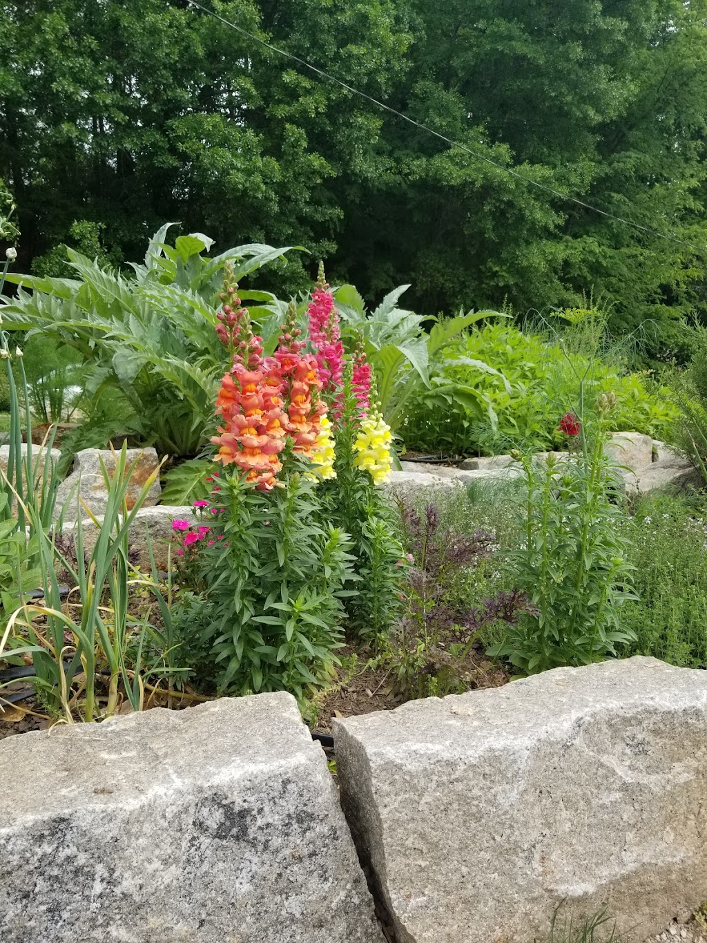 Chastain Park Conservancy | 4001 Powers Ferry Rd NW, Atlanta, GA 30342, USA | Phone: (404) 237-2177