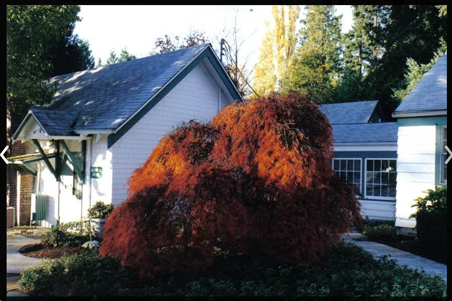 Lakeside Milam | 10322 NE 132nd St, Kirkland, WA 98034, USA | Phone: (800) 231-4303