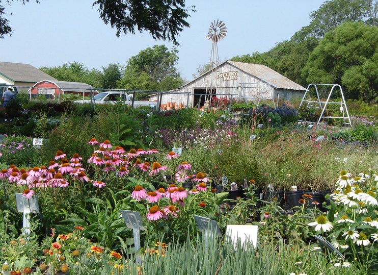 Shades of Green Nursery + Landscape | 7401 Coit Rd, Frisco, TX 75035, USA | Phone: (972) 335-9095