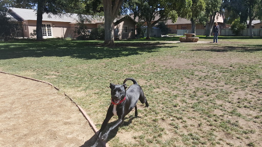 Baldwin Dog Park | 2750 Parkside Cir, Concord, CA 94519, USA | Phone: (925) 671-3404