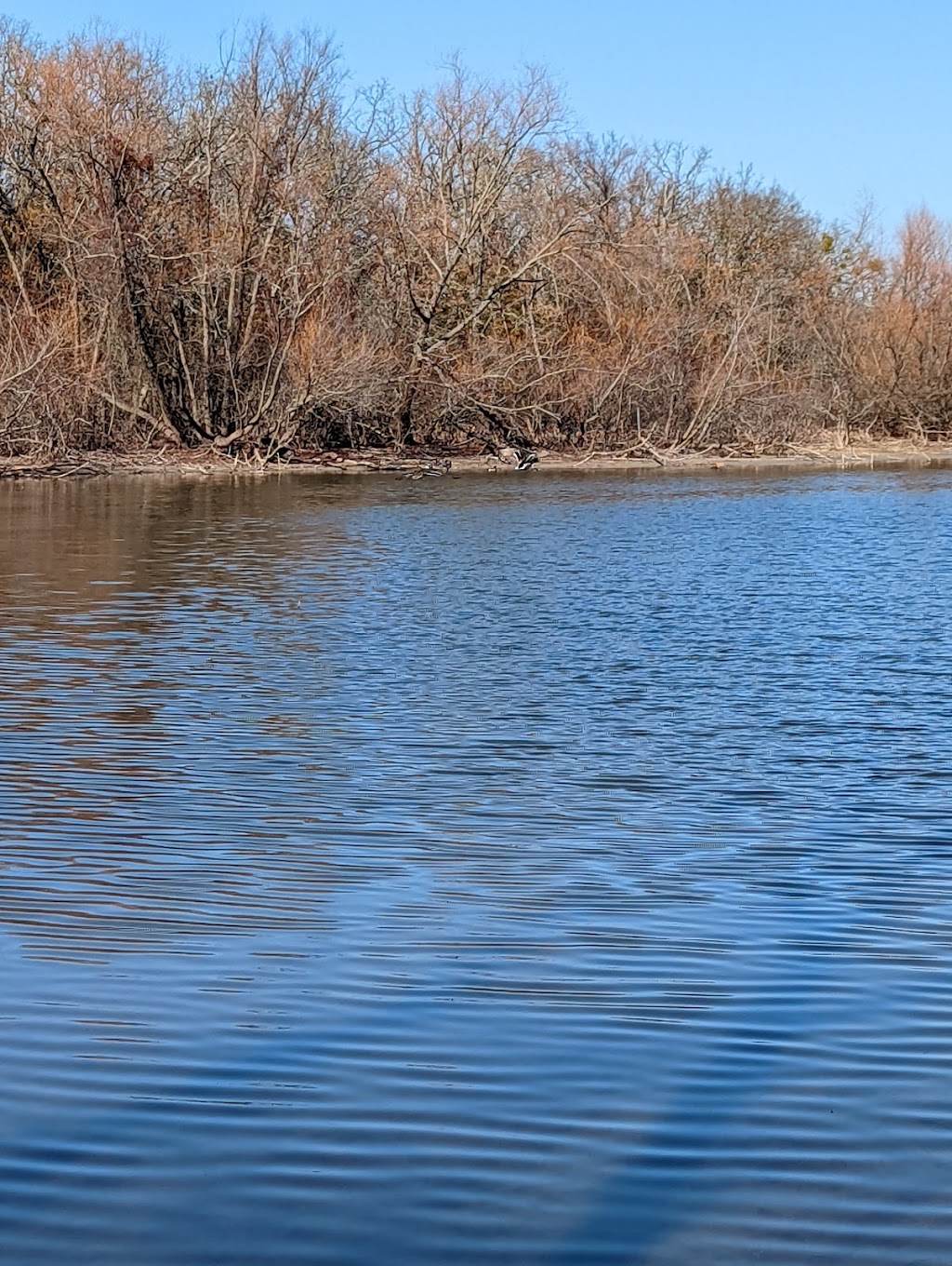 Lake Tawakoni State Park | 10822 FM 2475, Wills Point, TX 75169, USA | Phone: (903) 560-7123