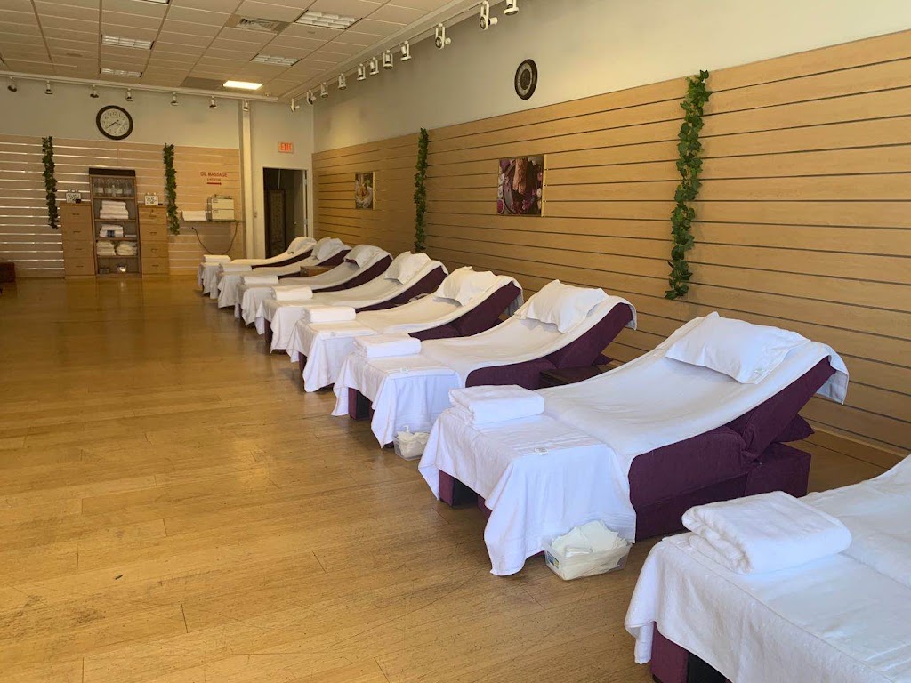 Green Spa | 2174 E Williams Field Rd #116, Gilbert, AZ 85295, USA | Phone: (602) 580-2555