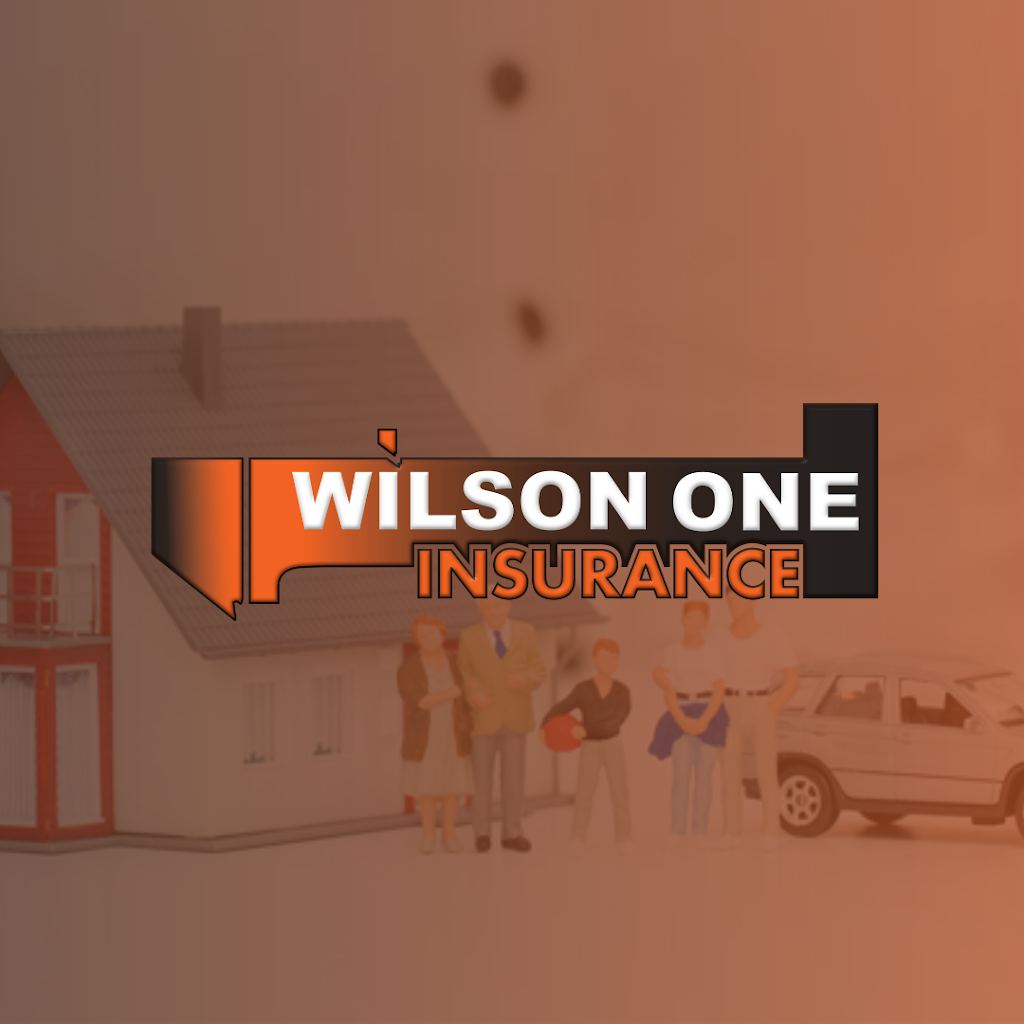 Wilson One Insurance Agency | 8455 W Flamingo Rd UNIT 5, Las Vegas, NV 89147, USA | Phone: (702) 867-0049