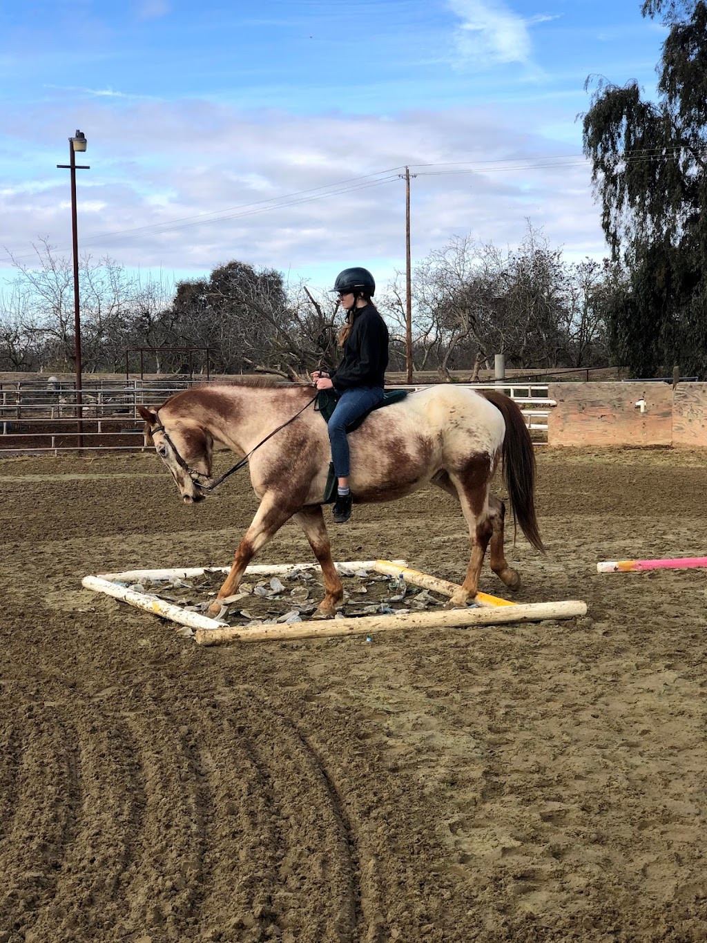 Circle T Ranch | 20010 Fargo Ave, Lemoore, CA 93245, USA | Phone: (559) 288-9537