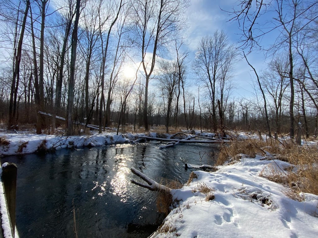 Lookout Shelter | 54386 Co Rd 131, Bristol, IN 46507, USA | Phone: (574) 535-6458