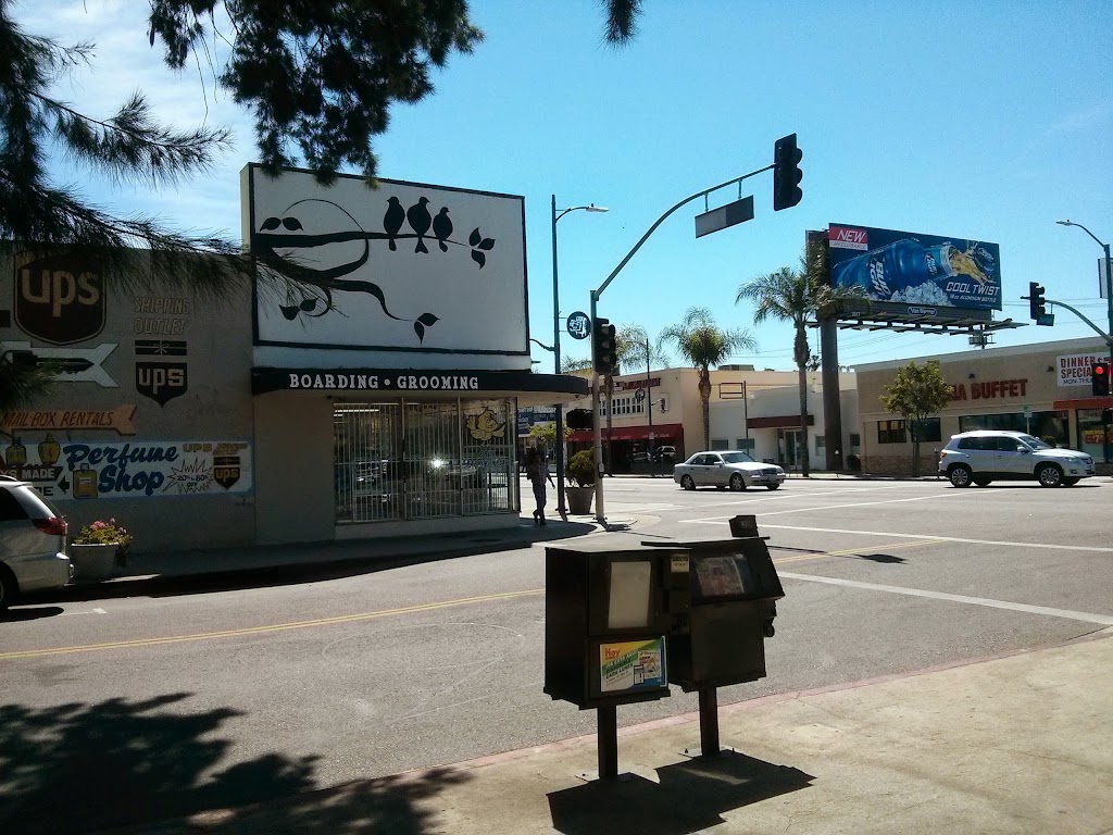 Canoga Discount Birds | 21731 Sherman Way, Canoga Park, CA 91303, USA | Phone: (818) 883-3007