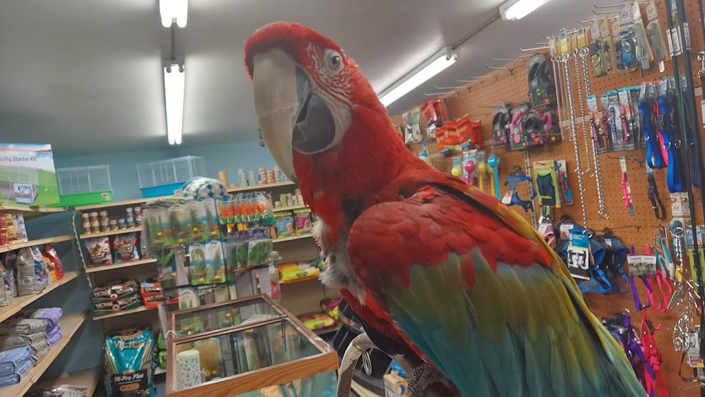 Midway Tropical Fish & Pets | 24101 Pacific Hwy S, Kent, WA 98032 | Phone: (206) 824-2616