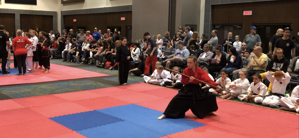 Kokon Jiu-Jitsu and Karate | 6824 Thorold Stone Rd, Niagara Falls, ON L2J 1B4, Canada | Phone: (905) 371-6566