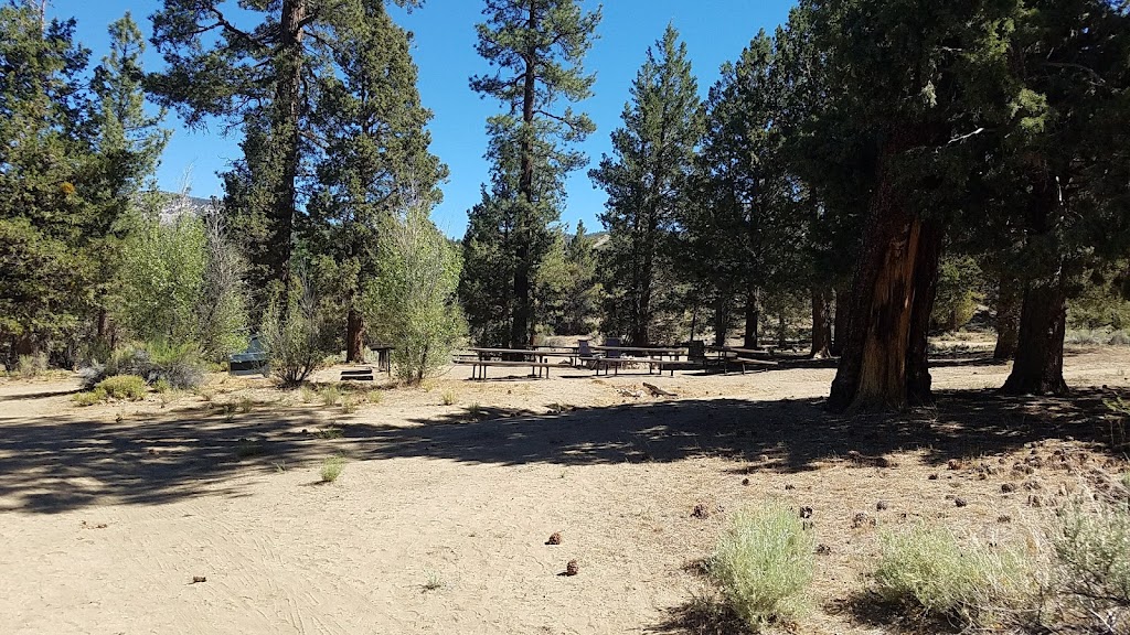 Wild Horse Equestrian Campground | 46620 CA-38, Angelus Oaks, CA 92305, USA | Phone: (877) 444-6777