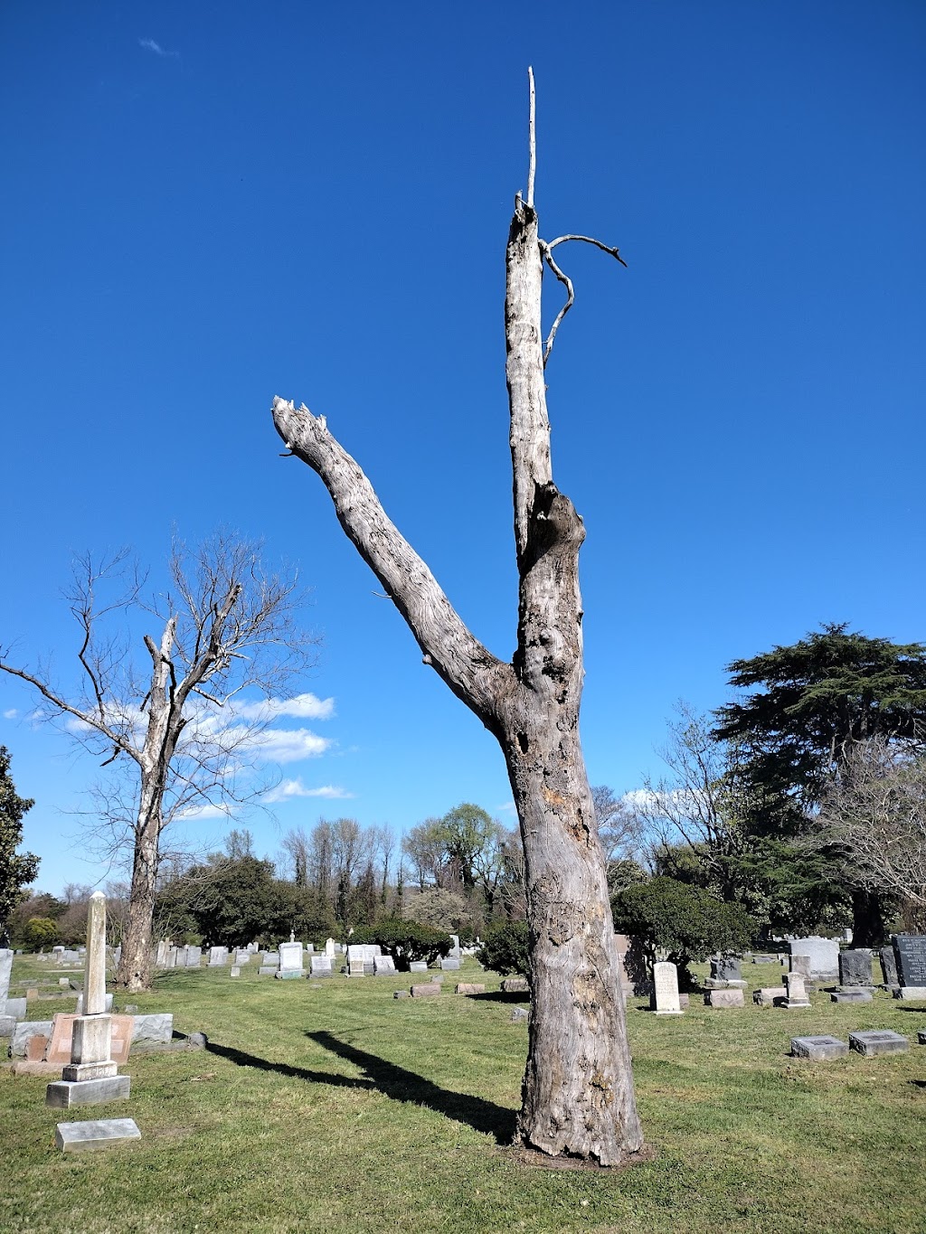 Pleasant Shade Cemetery | 520 Shell Rd, Hampton, VA 23661, USA | Phone: (757) 247-5181