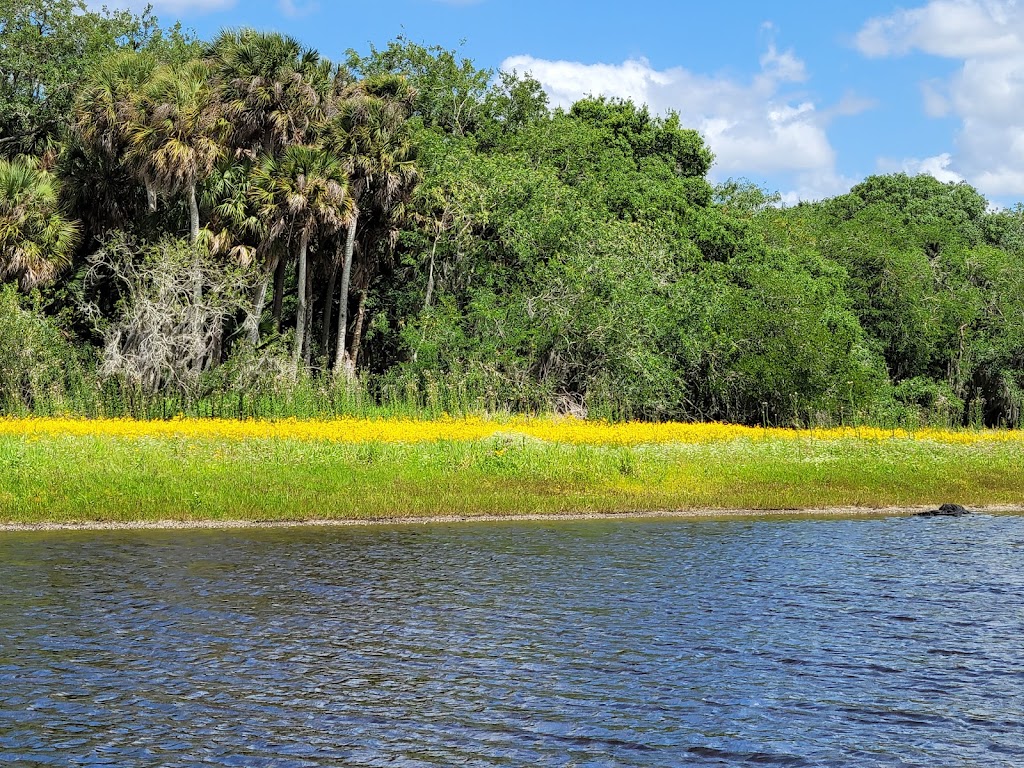 Palmetto Ridge Campground | Sarasota, FL 34241, USA | Phone: (941) 361-6511