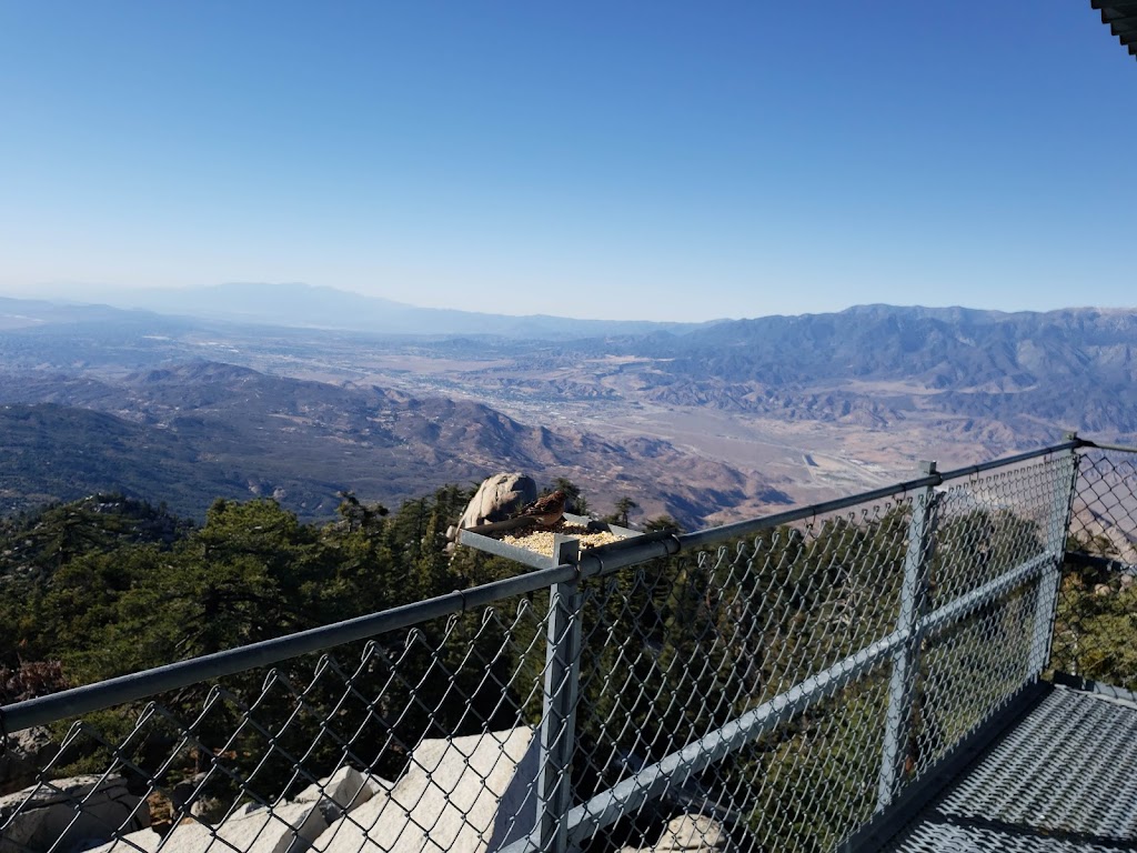 Boulder Basin Campground | Black Moutain Trail, Banning, CA 92220, USA | Phone: (909) 382-2921