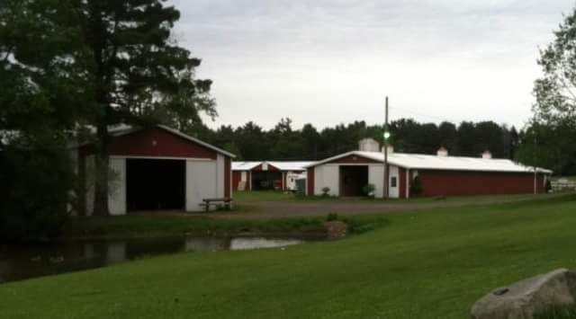 Catskill Equestrian Center | 118 Castle Rd, Catskill, NY 12414, USA | Phone: (518) 925-0095