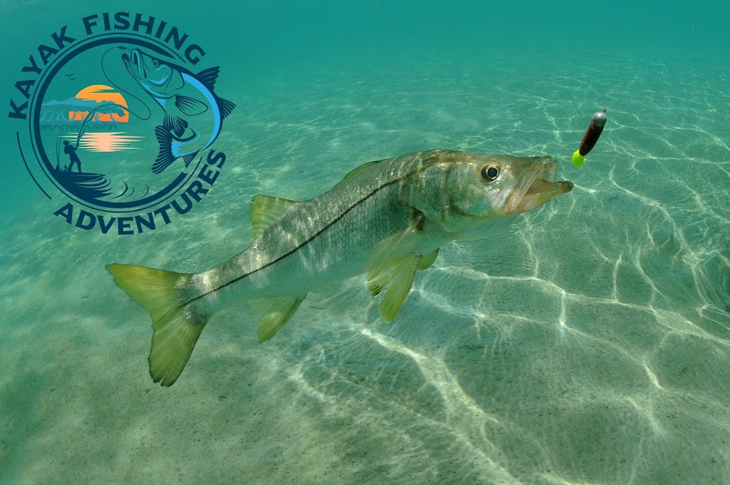 Kayak Fishing Adventures - Motorized Kayak Rentals | 240 Bear Ridge Cir, Palm Harbor, FL 34683, USA | Phone: (727) 466-7730 Kayak Fishing Adventures - Motorized Kayak Rentals | 240 Bear Ridge Cir, Palm Harbor, FL 34683, USA | Phone: (727) 466-7730