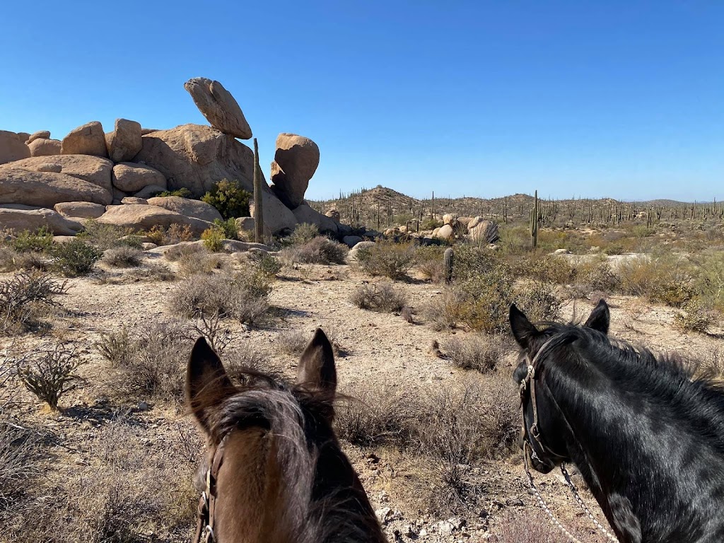 Ride Out Ranch | Florence, AZ 85132, USA | Phone: (480) 420-7339