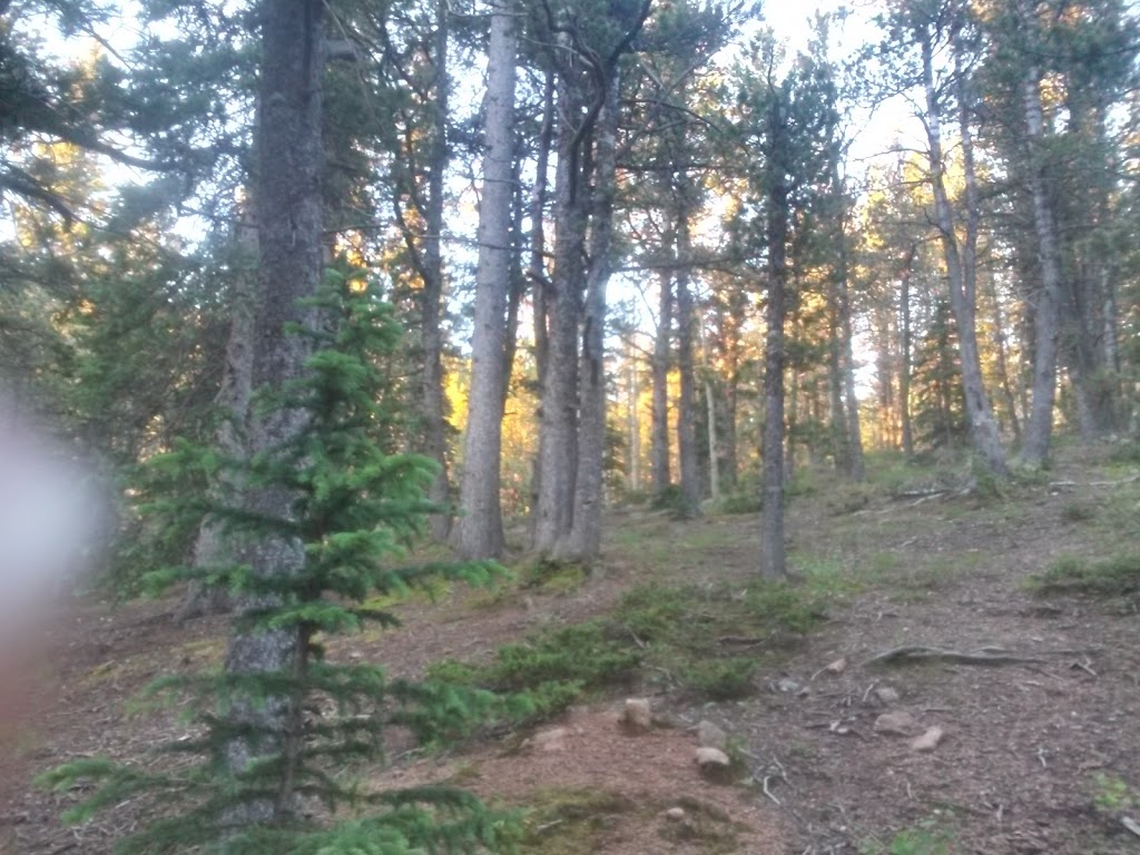 Wye Campground | Manitou Springs, CO 80829, USA | Phone: (719) 553-1400