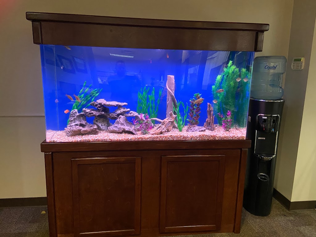 Aquarium Maintenance Service | 530 Moon Place Rd, Lawrenceville, GA 30044, USA | Phone: (770) 396-4889