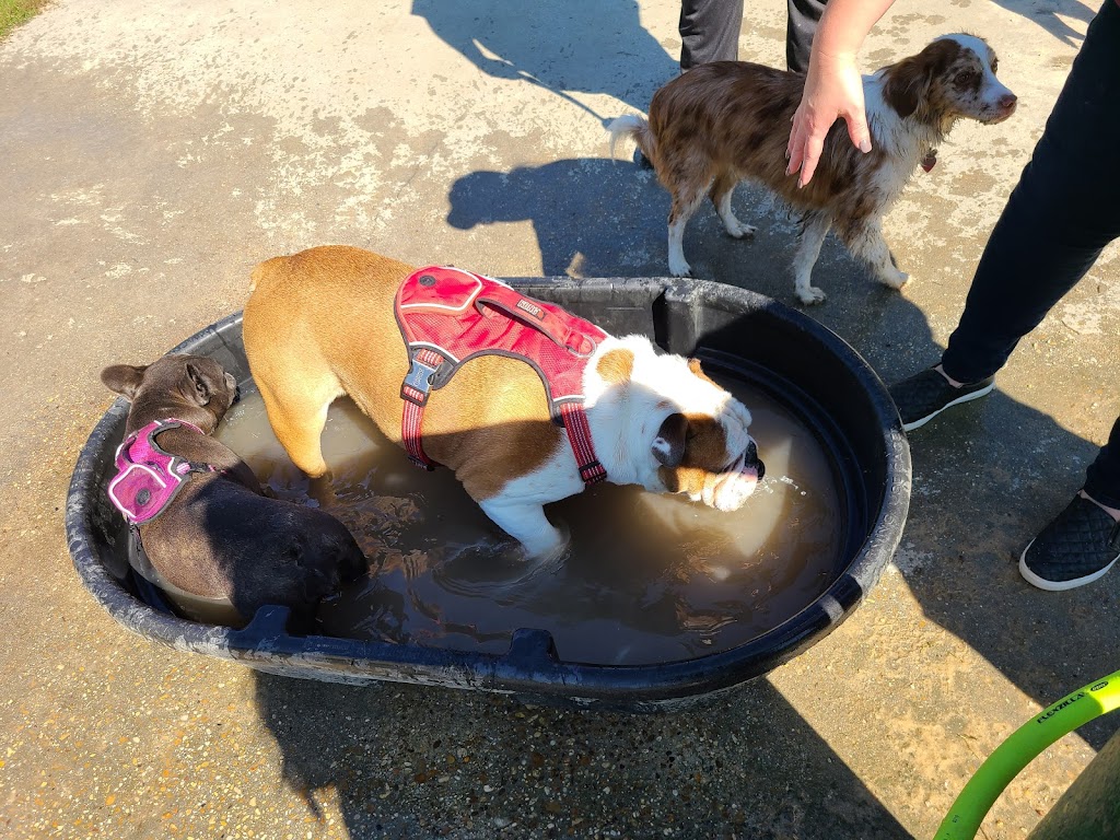 Raising Canes Dog Park at Forest Community Park | 13900 S Harrells Ferry Rd, Baton Rouge, LA 70816 | Phone: (225) 752-1853