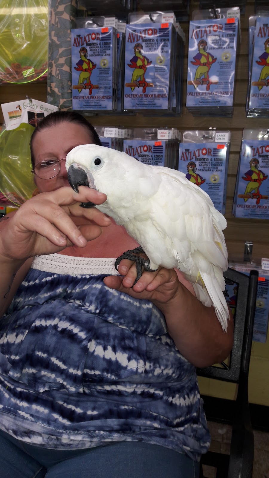 My Bird Store | 551 US-130, Burlington, NJ 08016, USA | Phone: (800) 650-7387