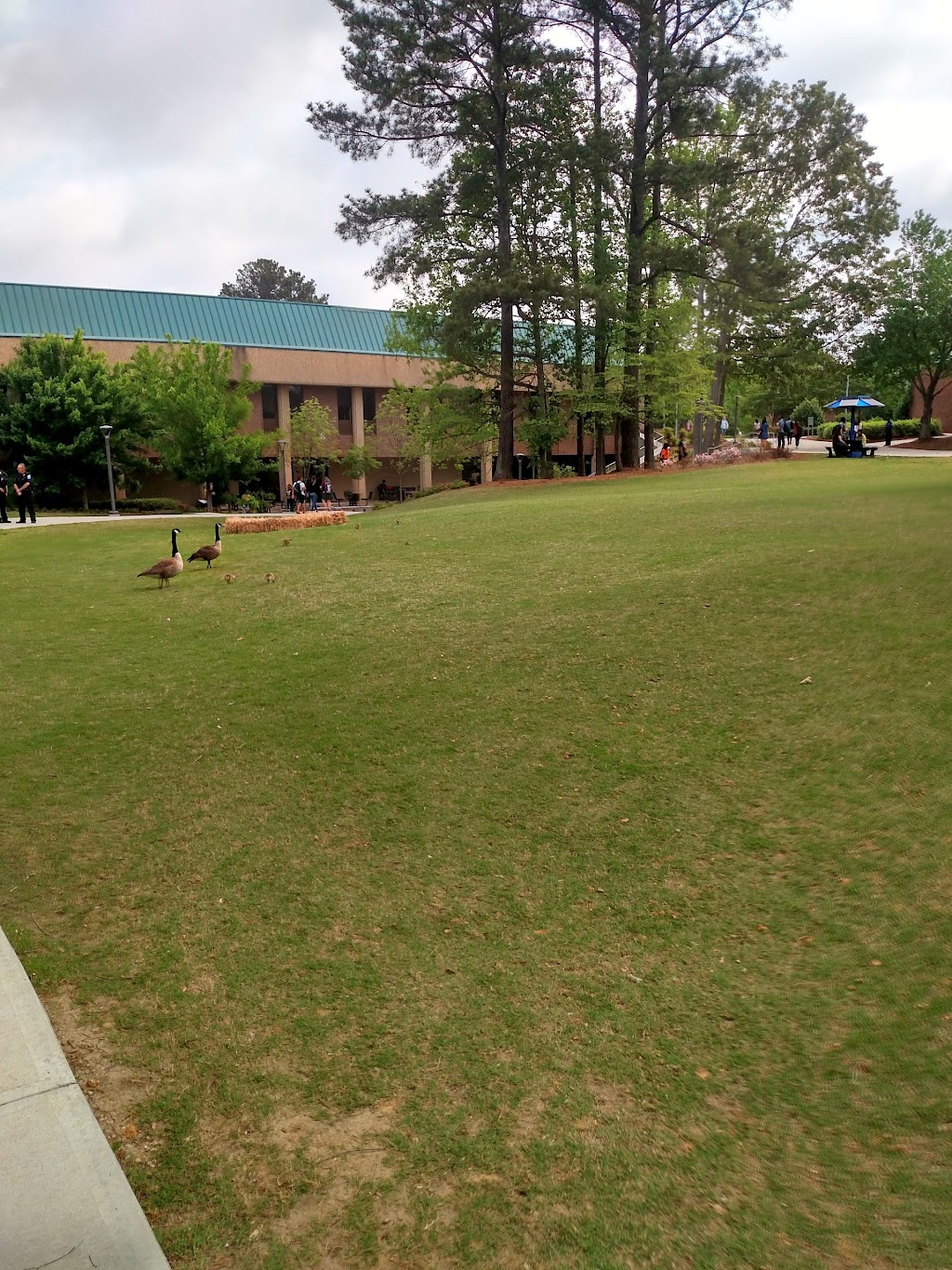 Georgia State University: Perimeter College - Dunwoody Campus | 2101 Womack Rd, Dunwoody, GA 30338 | Phone: (770) 274-5000