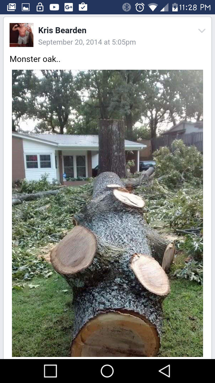 Bs tree service | 12278Rockhouse rd, Vance, AL 35490, USA | Phone: (205) 545-6312