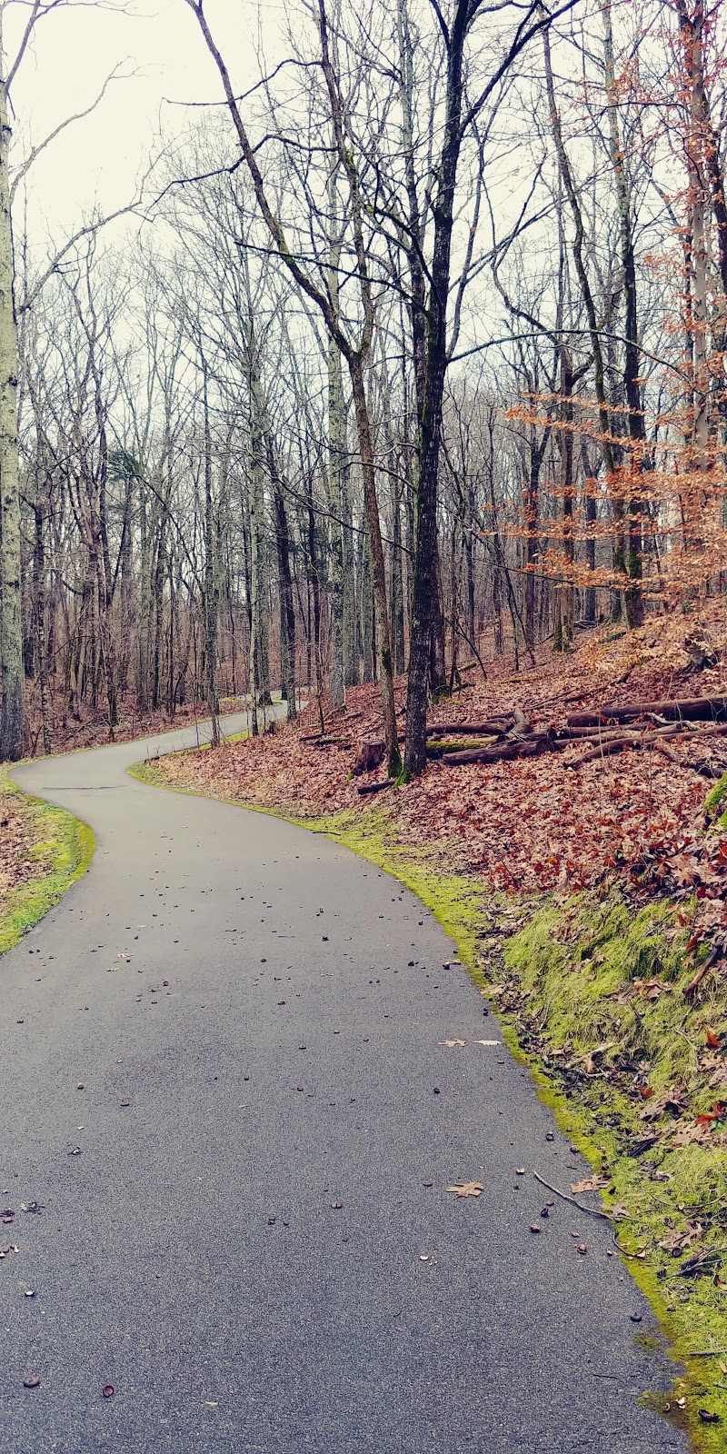 Osage Orange Explorer Trail | Louisville, KY 40245 | Phone: (502) 584-0350