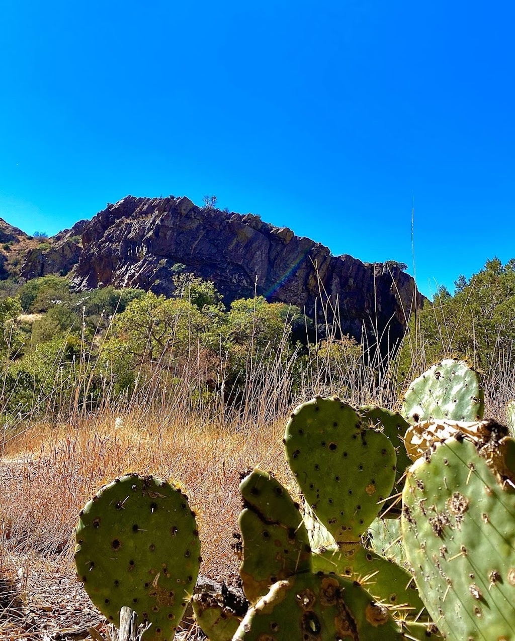 Dripping Springs Natural Area | 15000 Dripping Springs Rd, Las Cruces, NM 88011, USA | Phone: (575) 525-4300